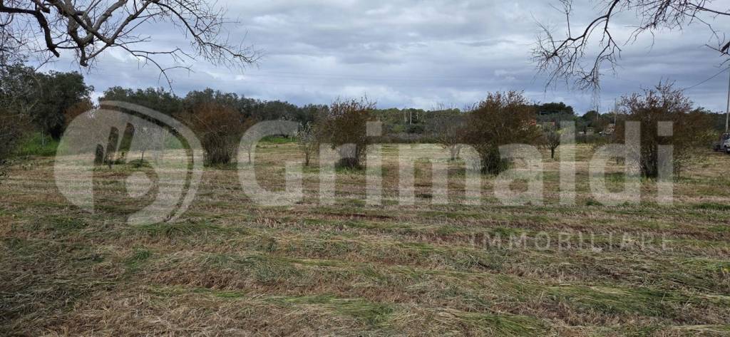 terreno agricolo in vendita a Sannicola in zona San Simone