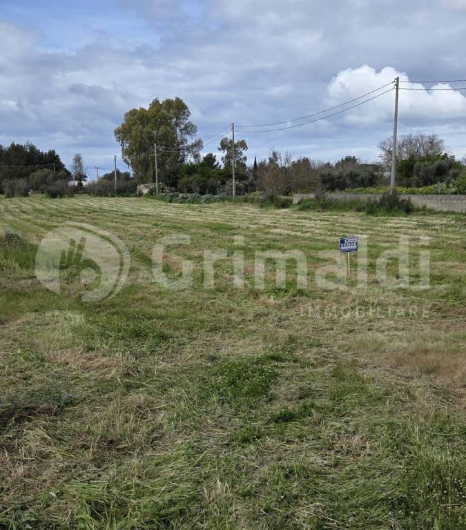 terreno agricolo in vendita a Sannicola in zona San Simone