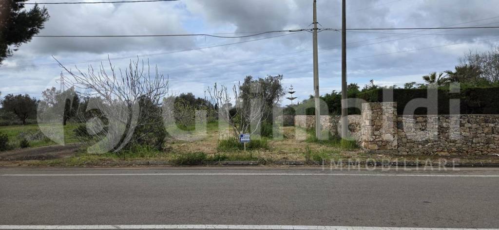 terreno agricolo in vendita a Sannicola in zona San Simone