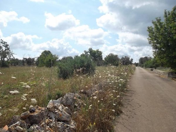 terreno agricolo in vendita a Sannicola