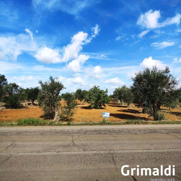 terreno agricolo in vendita a Sannicola
