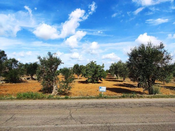 terreno agricolo in vendita a Sannicola