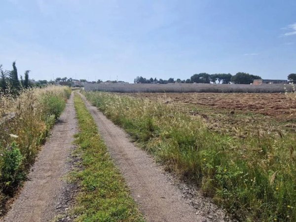 terreno agricolo in vendita a San Pietro in Lama