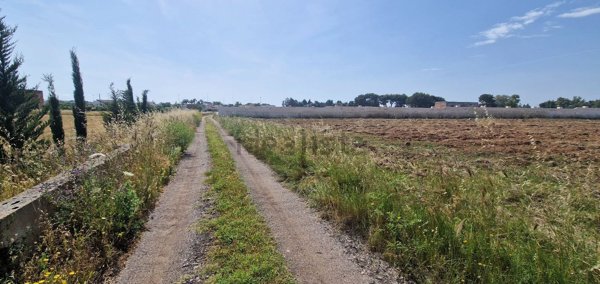 casa indipendente in vendita a San Pietro in Lama