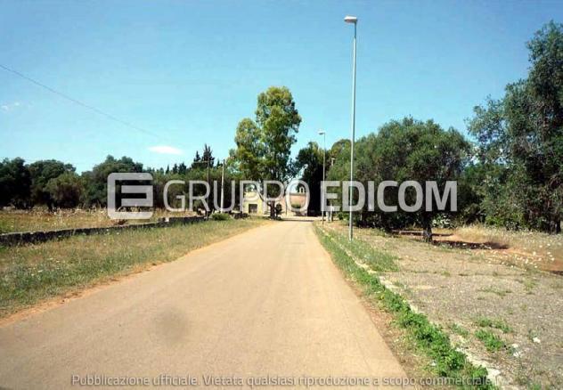 terreno agricolo in vendita a San Pietro in Lama