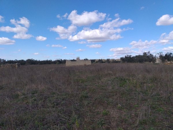 appartamento in vendita a Scorrano