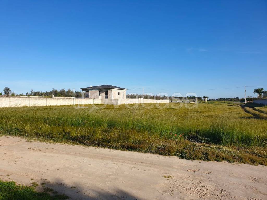 terreno agricolo in vendita a Scorrano