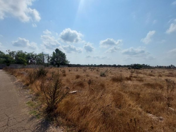 terreno agricolo in vendita a Scorrano