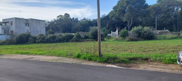 terreno agricolo in vendita a Scorrano