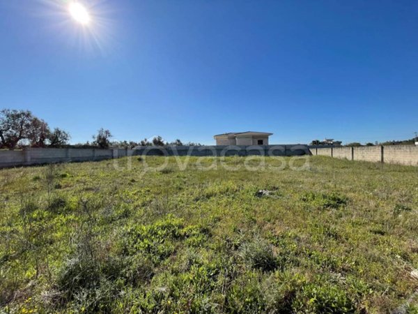 terreno agricolo in vendita a Scorrano