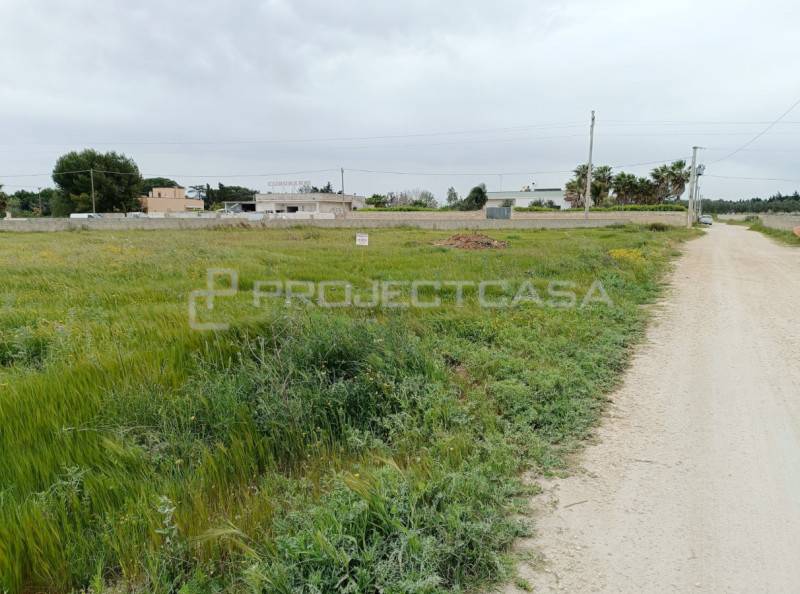 casa indipendente in vendita a Scorrano