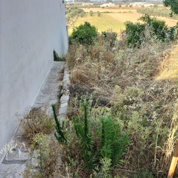 terreno agricolo in vendita a Scorrano