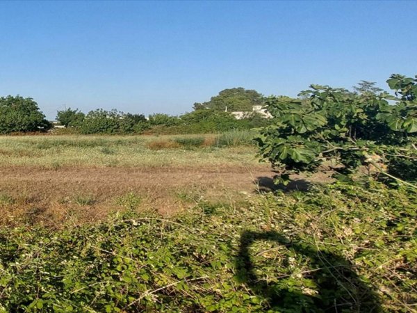 terreno agricolo in vendita a Scorrano