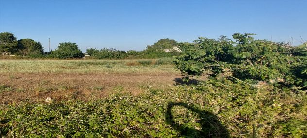 terreno agricolo in vendita a Scorrano