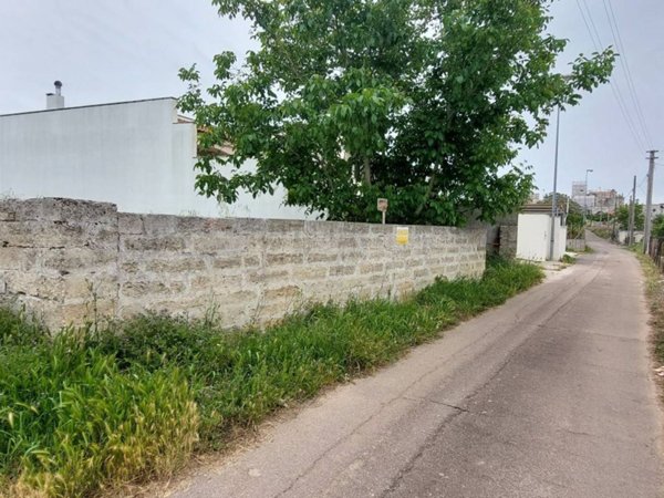terreno agricolo in vendita a Scorrano