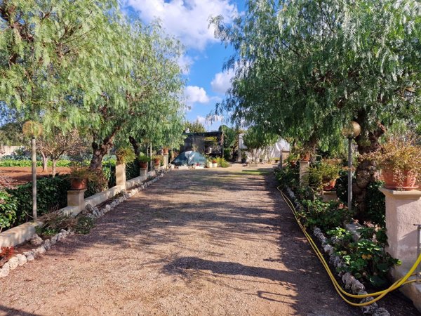 terreno agricolo in vendita a Scorrano
