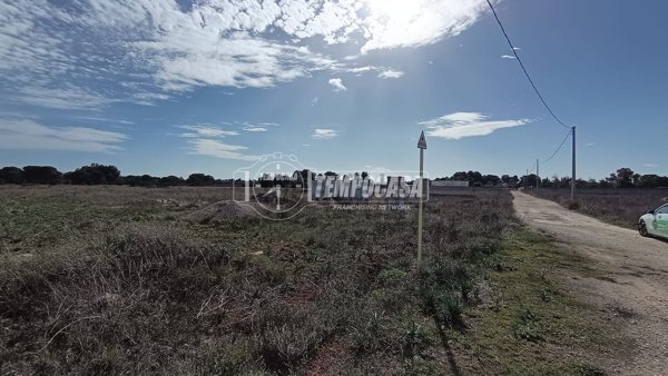 terreno edificabile in vendita a Scorrano