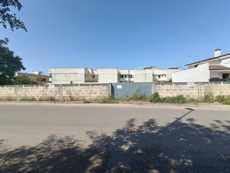 terreno agricolo in vendita a Scorrano