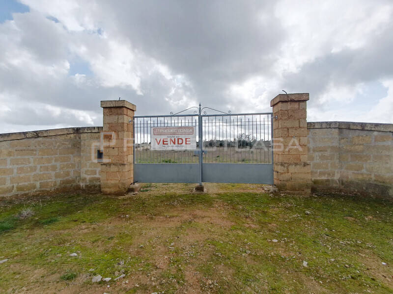 casa indipendente in vendita a Scorrano