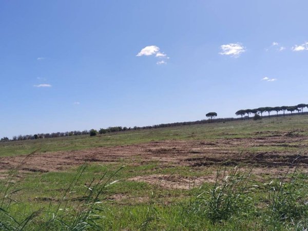 terreno in vendita a Scorrano