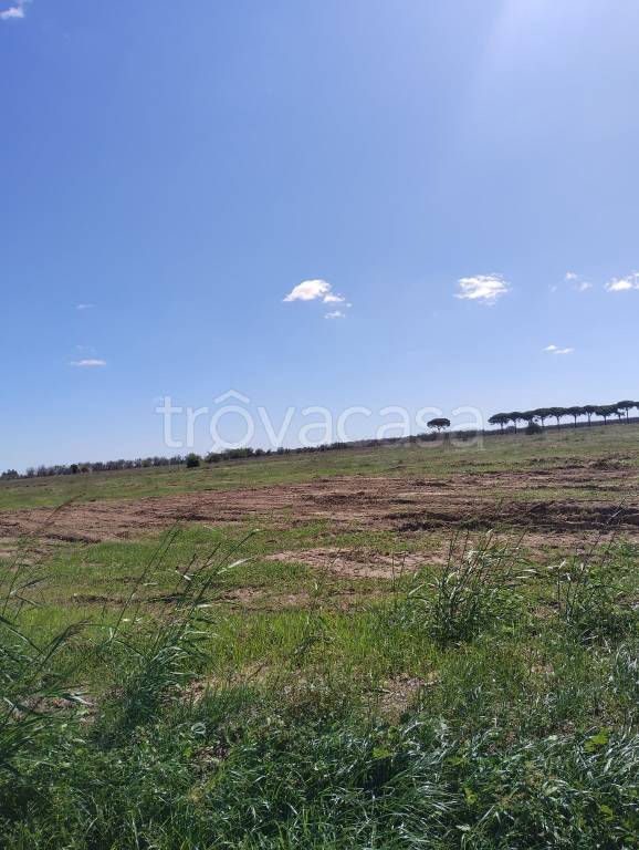 terreno in vendita a Scorrano