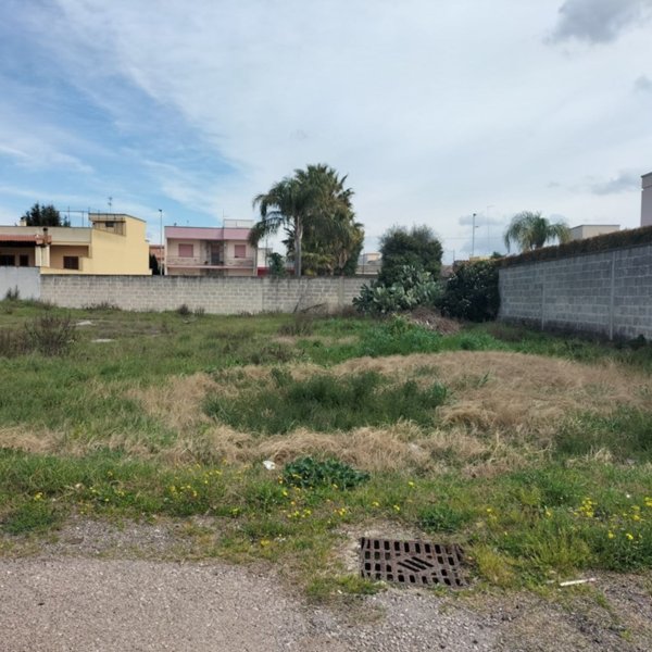 terreno agricolo in vendita a Sogliano Cavour