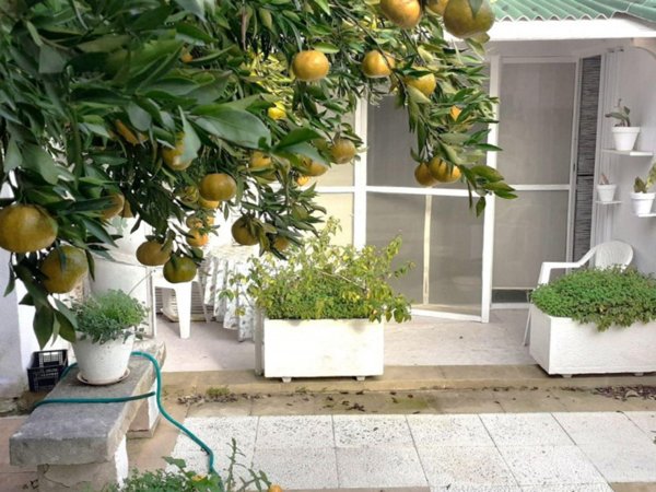 appartamento in vendita a Sogliano Cavour