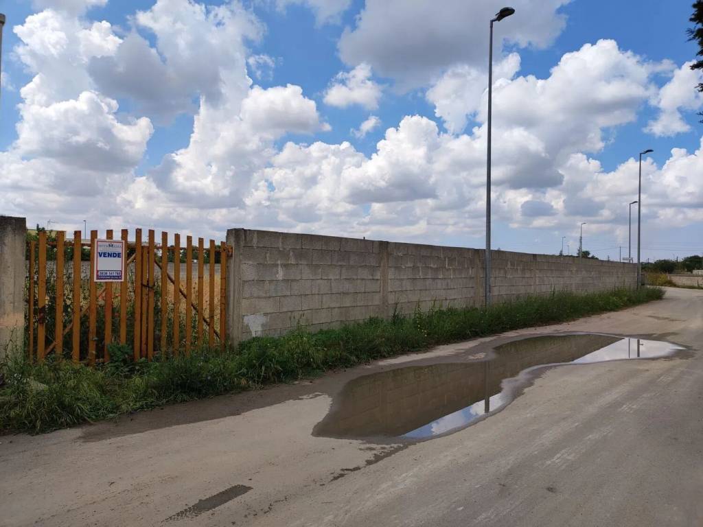 terreno agricolo in vendita a Sogliano Cavour