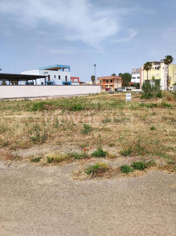 terreno agricolo in vendita a Sogliano Cavour