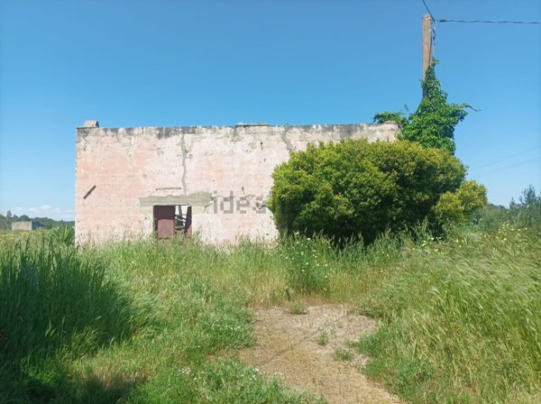 casa indipendente in vendita a Sogliano Cavour