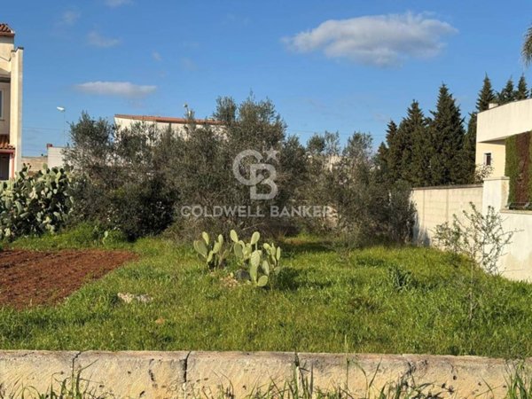 terreno agricolo in vendita a Soleto