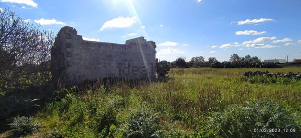 terreno agricolo in vendita a Soleto