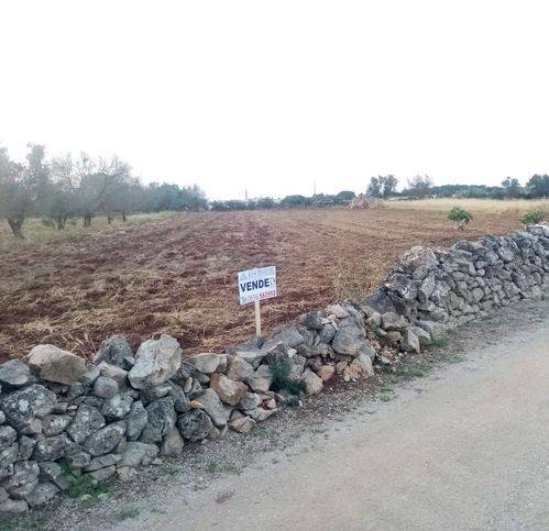 terreno agricolo in vendita a Soleto