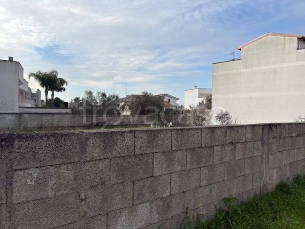 terreno agricolo in vendita a Soleto