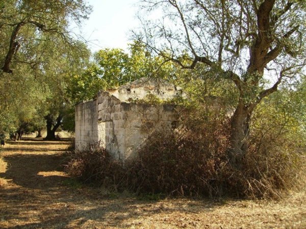 terreno agricolo in vendita a Specchia