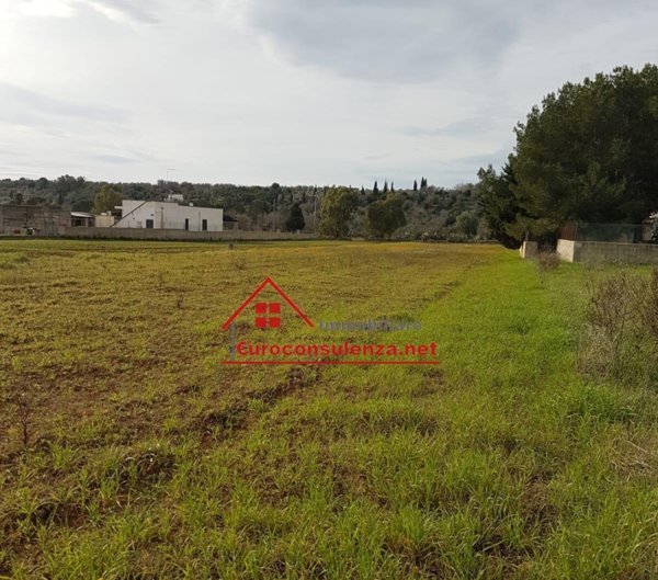 terreno agricolo in vendita a Specchia