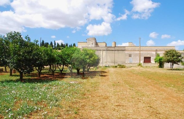 casa indipendente in vendita a Specchia