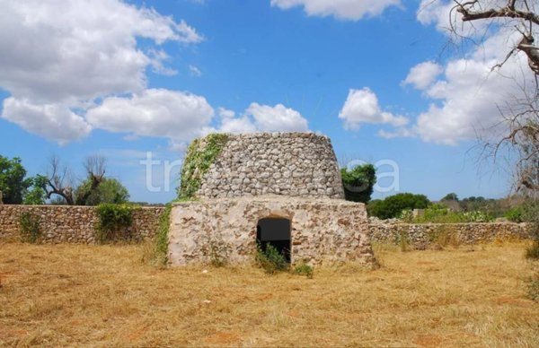 terreno agricolo in vendita a Specchia