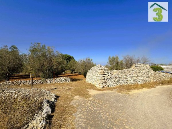 terreno agricolo in vendita a Specchia