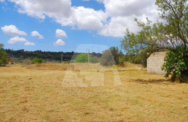 terreno agricolo in vendita a Specchia