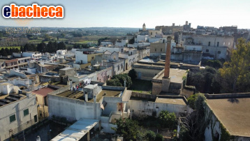 appartamento in vendita a Specchia