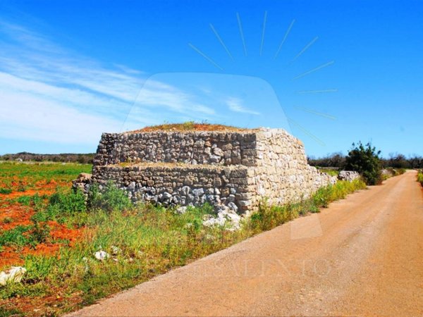 terreno agricolo in vendita a Specchia