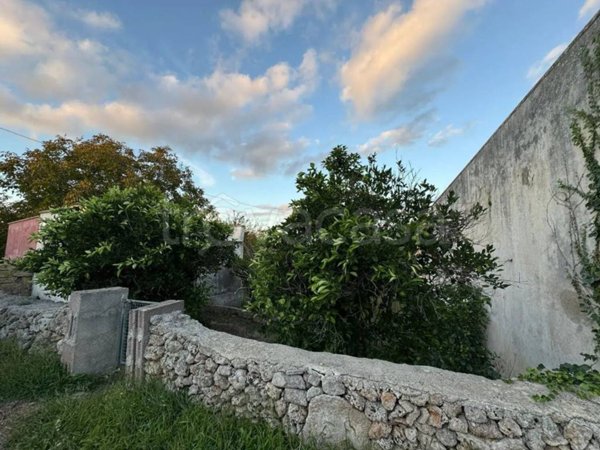 terreno agricolo in vendita a Specchia
