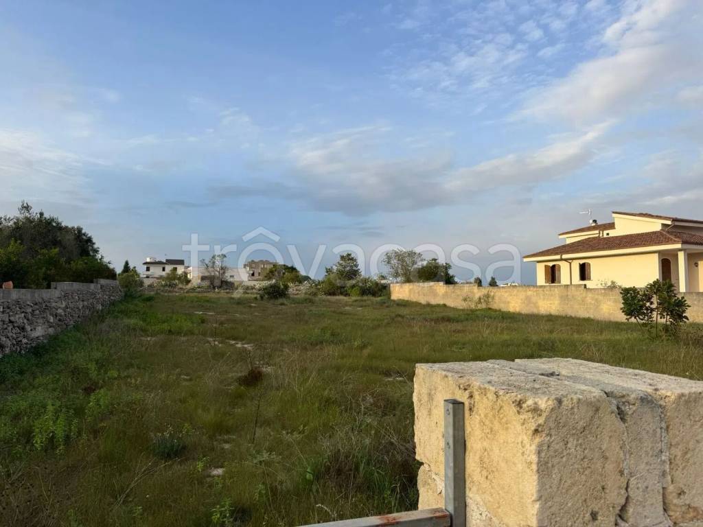 terreno agricolo in vendita a Specchia