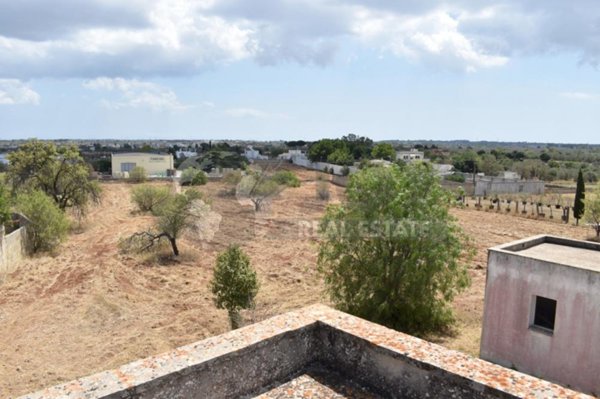 terreno agricolo in vendita a Specchia