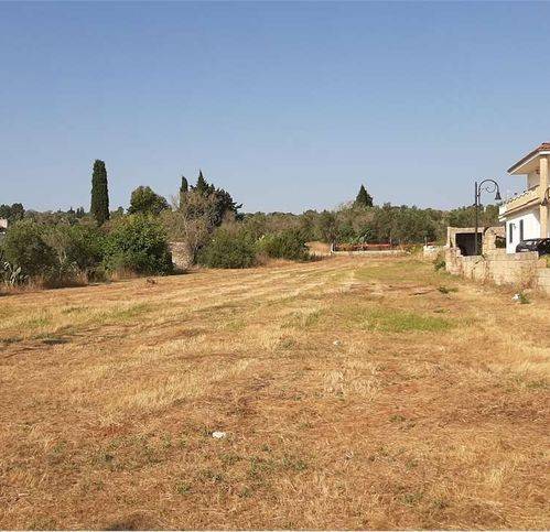 terreno agricolo in vendita a Specchia