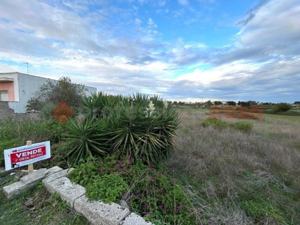 terreno agricolo in vendita a Specchia