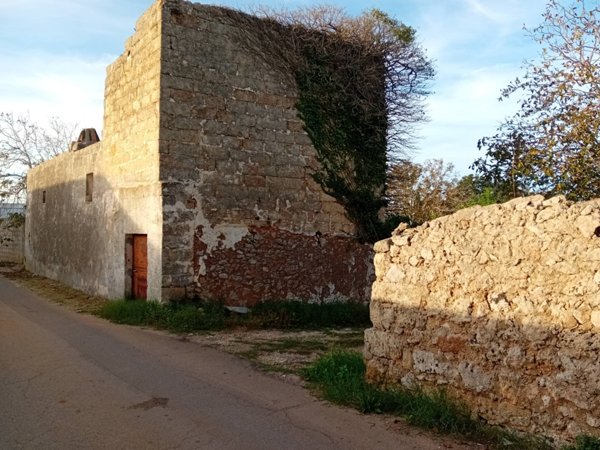 terreno agricolo in vendita a Specchia