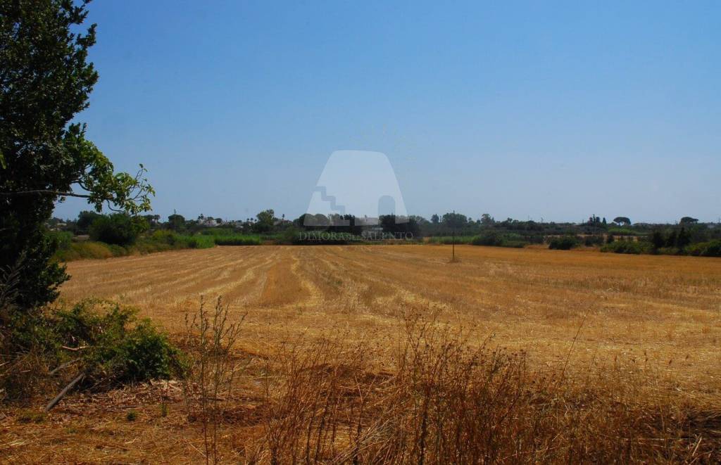 terreno agricolo in vendita a Specchia