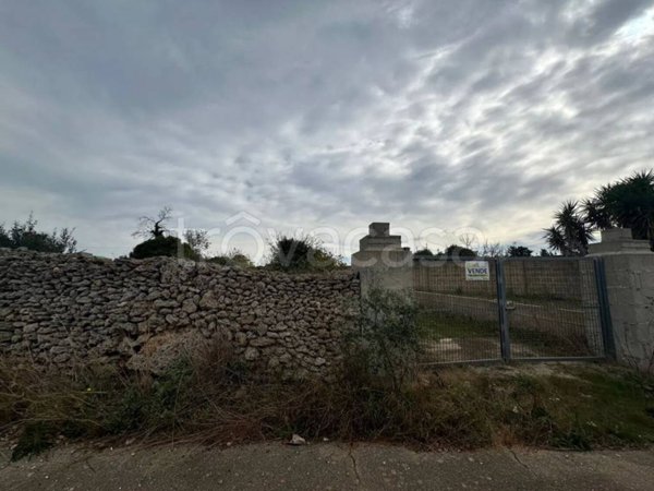 terreno agricolo in vendita a Specchia